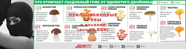 стафф Алексин