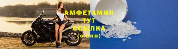 СК Алзамай