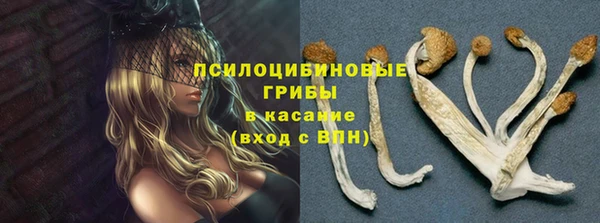 эйфоретик Алексеевка