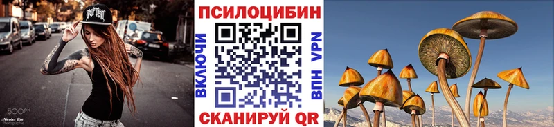 где найти наркотики  Дюртюли  kraken рабочий сайт  Галлюциногенные грибы Magic Shrooms 